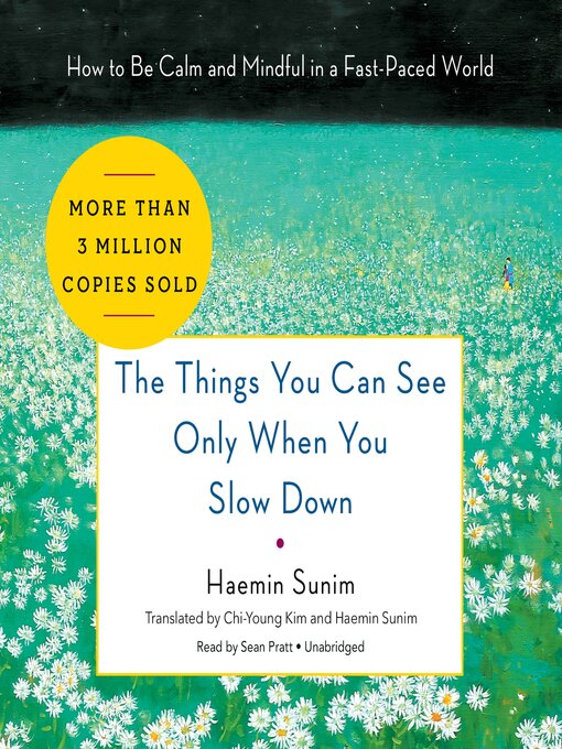 Title details for The Things You Can See Only When You Slow Down by Haemin Sunim - Wait list